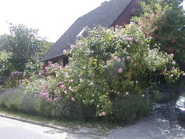 Ferienwohnung in Khsen (Herzogtum Lauenburg) oder Ferienwohnung oder Ferienhaus