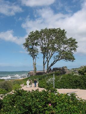 Ferienhaus in Ahrenshoop (Fischland-Dar�-Zingst) oder Ferienwohnung oder Ferienhaus