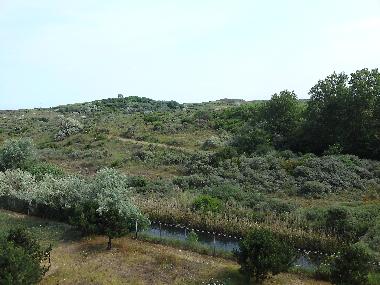 eine sch�ne Aussicht vom Wohnzimmer auf die D�nen - Scheveningen