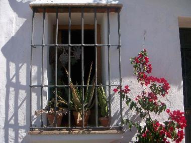 Ferienhaus in OJEN (Mlaga) oder Ferienwohnung oder Ferienhaus