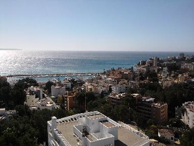 Ferienhaus in palma (Mallorca) oder Ferienwohnung oder Ferienhaus