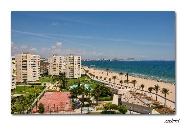 Ferienwohnung in alicante (Alicante / Alacant) oder Ferienwohnung oder Ferienhaus