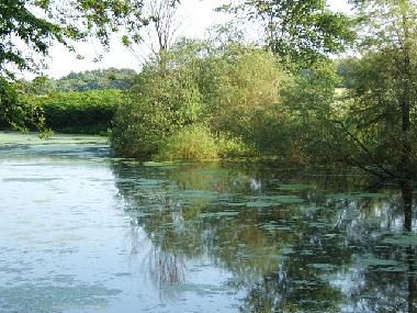 Schloss / Burg in K�hlungsborn (Mecklenburgische Ostseek�ste) oder Ferienwohnung oder Ferienhaus
