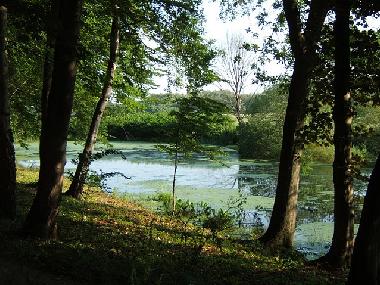 Schloss / Burg in K�hlungsborn (Mecklenburgische Ostseek�ste) oder Ferienwohnung oder Ferienhaus