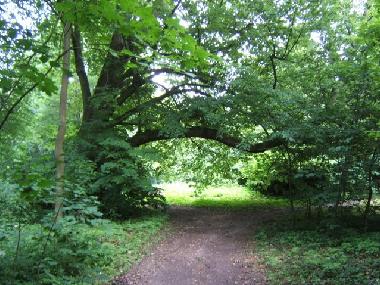 Schloss / Burg in K�hlungsborn (Mecklenburgische Ostseek�ste) oder Ferienwohnung oder Ferienhaus