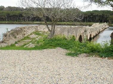 Ferienwohnung in Fertilia - Alghero (Sassari) oder Ferienwohnung oder Ferienhaus