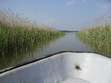 Zufahrt zum Goldberger See