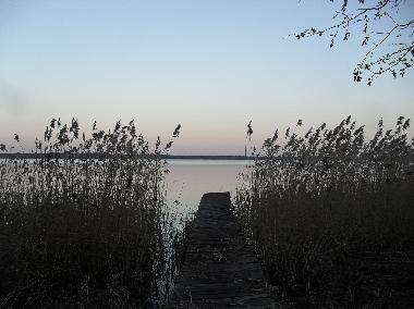 Abenstimmung am Goldberger See