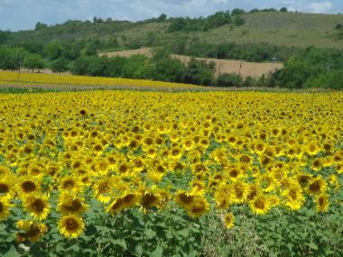 Ferienwohnung in st victor (Dordogne) oder Ferienwohnung oder Ferienhaus