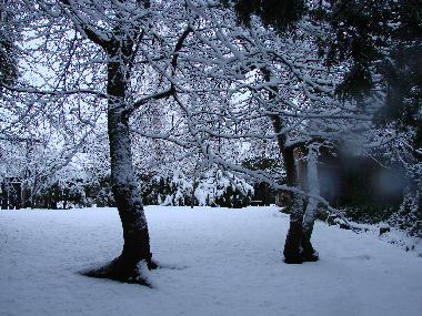 Ferienwohnung in San Carlos de Bariloche (Rio Negro) oder Ferienwohnung oder Ferienhaus