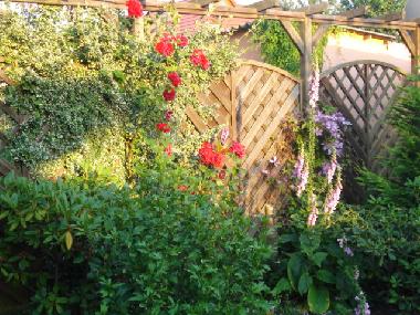 Ferienwohnung in Ostseebad Dierhagen/OT D�ndorf (Fischland-Dar�-Zingst) oder Ferienwohnung oder Ferienhaus