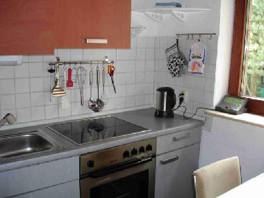 Ferienhaus in Groenkneten-Huntlosen (Land zwischen Elbe u. Weser) oder Ferienwohnung oder Ferienhaus