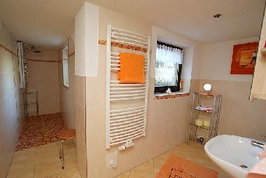 neu rnovierte komfortable Dusche mit WC