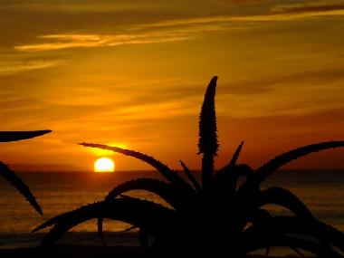 Sonnenaufgang am Mainbeach von Jeffreys Bay