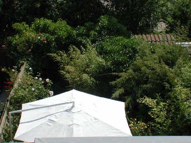 Ferienhaus in GROET (gem. Bergen) (Noord-Holland) oder Ferienwohnung oder Ferienhaus