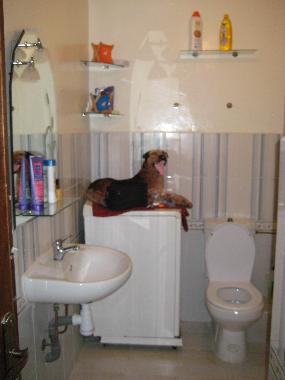 Ferienwohnung in Tanger (Tanger) oder Ferienwohnung oder Ferienhaus