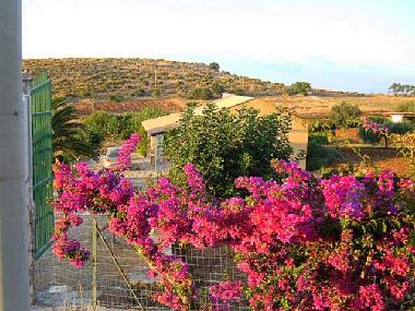 Ferienhaus in Castellammare del Golfo (Trapani) oder Ferienwohnung oder Ferienhaus