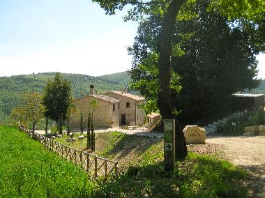 Ferienwohnung in Todi (Perugia) oder Ferienwohnung oder Ferienhaus