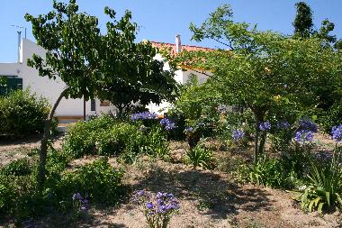 Ferienhaus in azambuja (Grande Lisboa) oder Ferienwohnung oder Ferienhaus