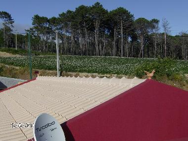 Ferienwohnung in Prazeres (Madeira) oder Ferienwohnung oder Ferienhaus