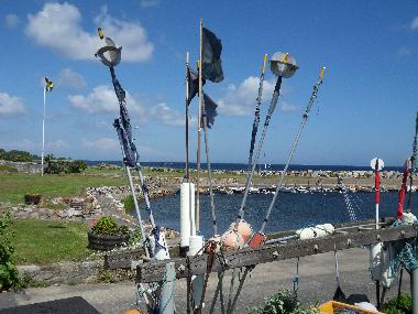 Ferienhaus in Simrishamn (Skne) oder Ferienwohnung oder Ferienhaus