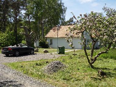 Ferienhaus in Simrishamn (Skne) oder Ferienwohnung oder Ferienhaus