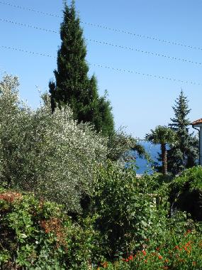 Ferienhaus in BOISSANO (Savona) oder Ferienwohnung oder Ferienhaus
