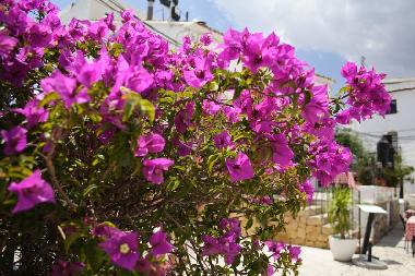 Chalet in La Campaneta (Murcia) oder Ferienwohnung oder Ferienhaus