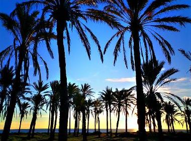 Ferienwohnung in Torrevieja-Punta Prima (Alicante / Alacant) oder Ferienwohnung oder Ferienhaus