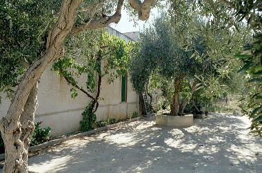 Platz neben dem Haus 