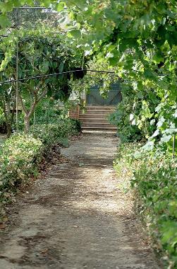 Blick auf die Verandatreppe