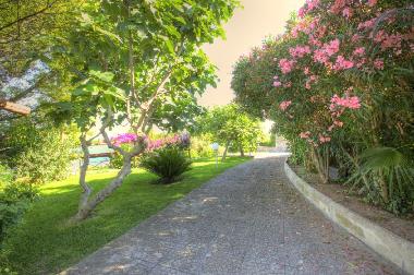 Ferienhaus in Sorrento(Sant Agnello Colli di Fontanelle) (Napoli) oder Ferienwohnung oder Ferienhaus