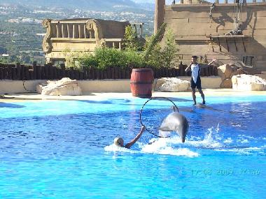 Mundomar - Tierpark mit Deplfinshow in Benidorm (10 km von Altea