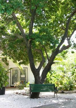 Ferienwohnung in Willemstad (Curacao) oder Ferienwohnung oder Ferienhaus