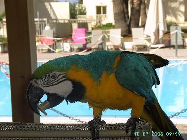 Ferienwohnung in Ayia Napa (Famagusta) oder Ferienwohnung oder Ferienhaus