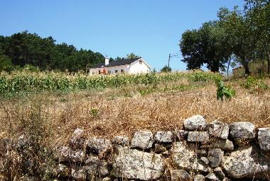 Ferienhaus in Ftima (Pinhal Litoral) oder Ferienwohnung oder Ferienhaus