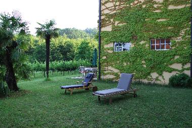 Rasenfl�che zwischen Remise und Wohnhaus