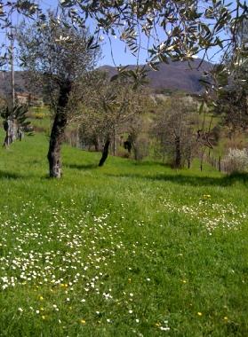 Ferienhaus in Pontremoli (Massa-Carrara) oder Ferienwohnung oder Ferienhaus