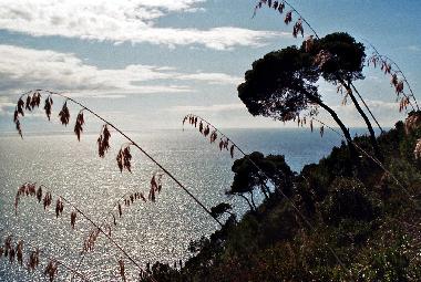 Ferienhaus in Scauri (LT) (Latina) oder Ferienwohnung oder Ferienhaus