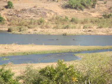Ferienhaus in Marloth Park, Mpumalanga. (Mpumalanga) oder Ferienwohnung oder Ferienhaus