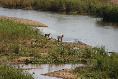 Ferienhaus in Marloth Park, Mpumalanga. (Mpumalanga) oder Ferienwohnung oder Ferienhaus