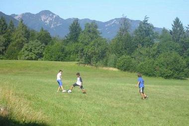 Ferienwohnung in Bohinjska Bistrica (Bohinj) oder Ferienwohnung oder Ferienhaus