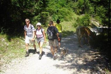 Ferienwohnung in Bohinjska Bistrica (Bohinj) oder Ferienwohnung oder Ferienhaus