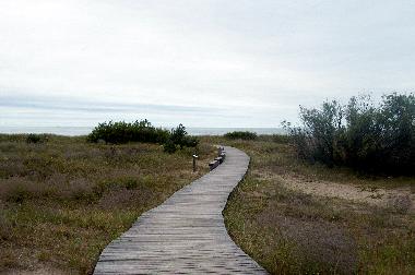 Ferienhaus in Pavilosta (Lettland) oder Ferienwohnung oder Ferienhaus