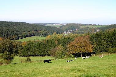 Ferienhaus in Stolberg-Zweifall (Eifel und Region Aachen) oder Ferienwohnung oder Ferienhaus
