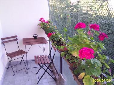 Ferienwohnung in BUDAPEST 09 (Budapest) oder Ferienwohnung oder Ferienhaus