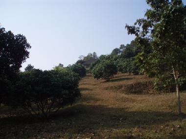Ferienhaus in Chiangrai (Chiang Rai) oder Ferienwohnung oder Ferienhaus