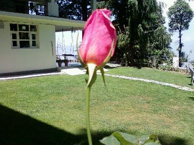 Ferienhaus in DALHOUSIE (Himachal Pradesh) oder Ferienwohnung oder Ferienhaus