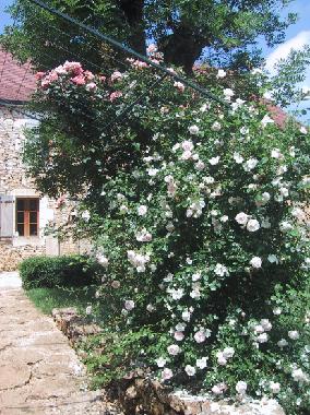 Ferienhaus in BOUZIC (Dordogne) oder Ferienwohnung oder Ferienhaus