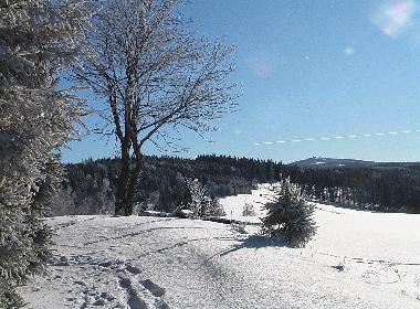 im Hintergrund der Fichtelberg